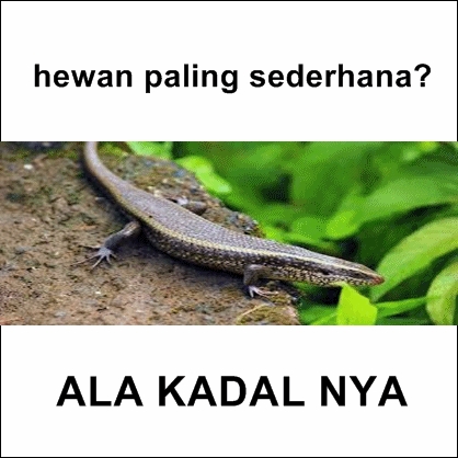 meme pelesetan nama hewan kocak deh © berbagai sumber
