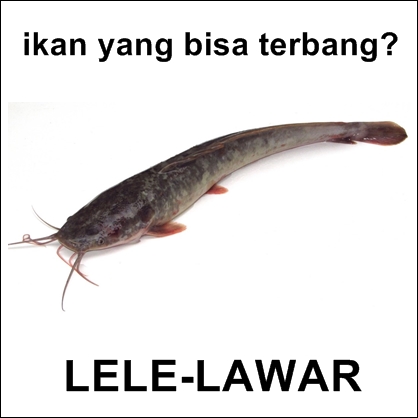 meme pelesetan nama hewan kocak deh © berbagai sumber