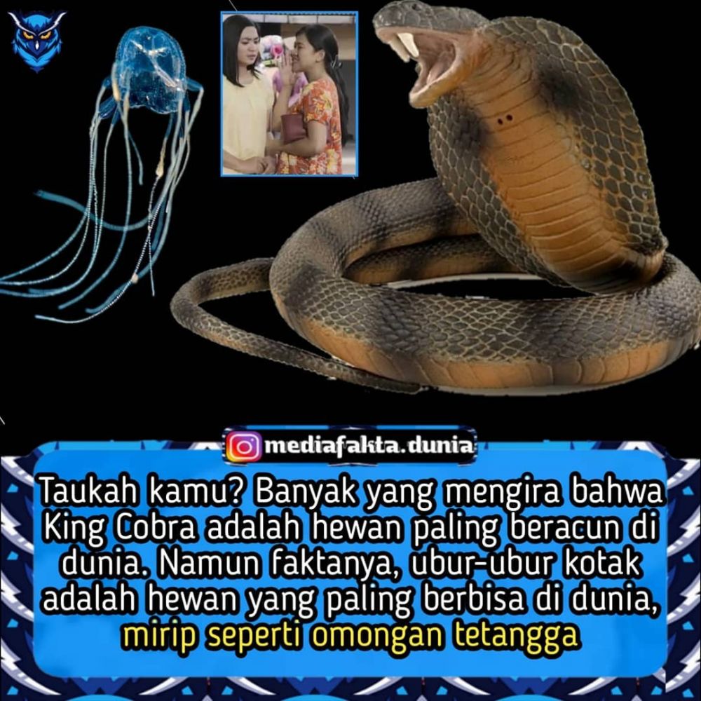 Meme gambarkan kehidupan bertetangga ini bikin nggak habis pikir Berbagai sumber