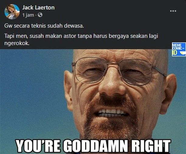 Meme perbedaan saat masih kecil dan dewasa Berbagai sumber