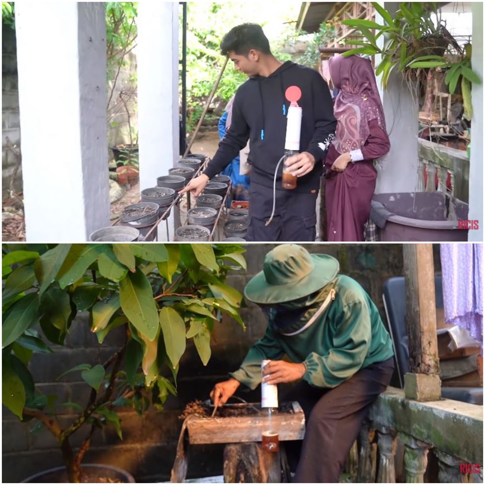 11 Potret rumah mertua Ria Ricis di Aceh, punya peternakan lebah
