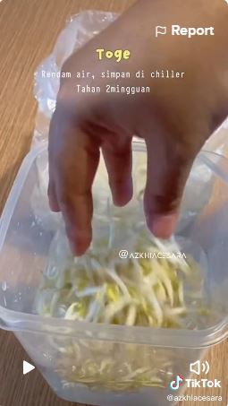 6 Trik menyimpan bahan makanan buat anak kos, simpel dan antibusuk