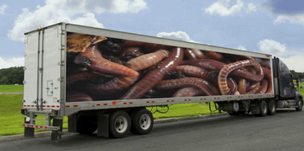 body truk penampakannya nyeleneh © berbagai sumber