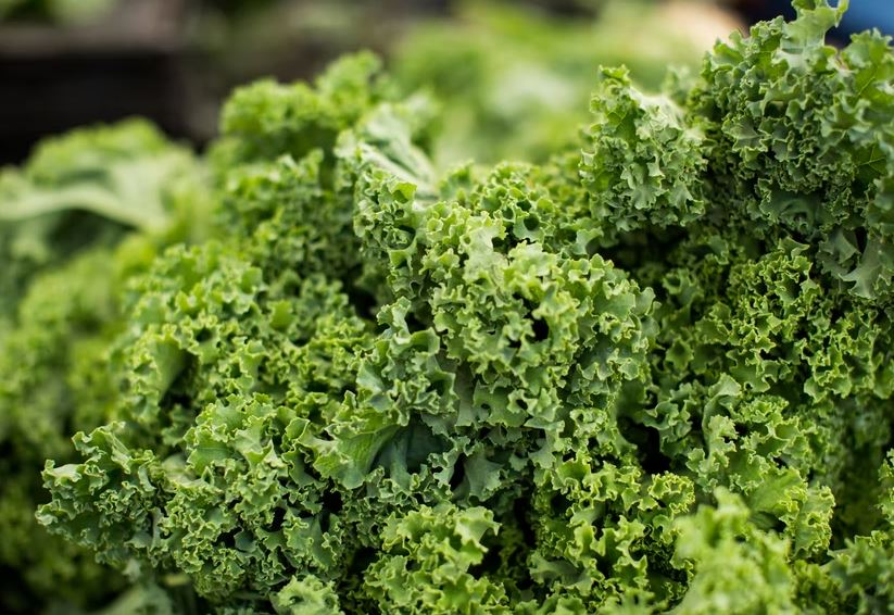 10 Makanan dikonsumsi Baim Wong, bantu tebas lemak & bentuk massa otot