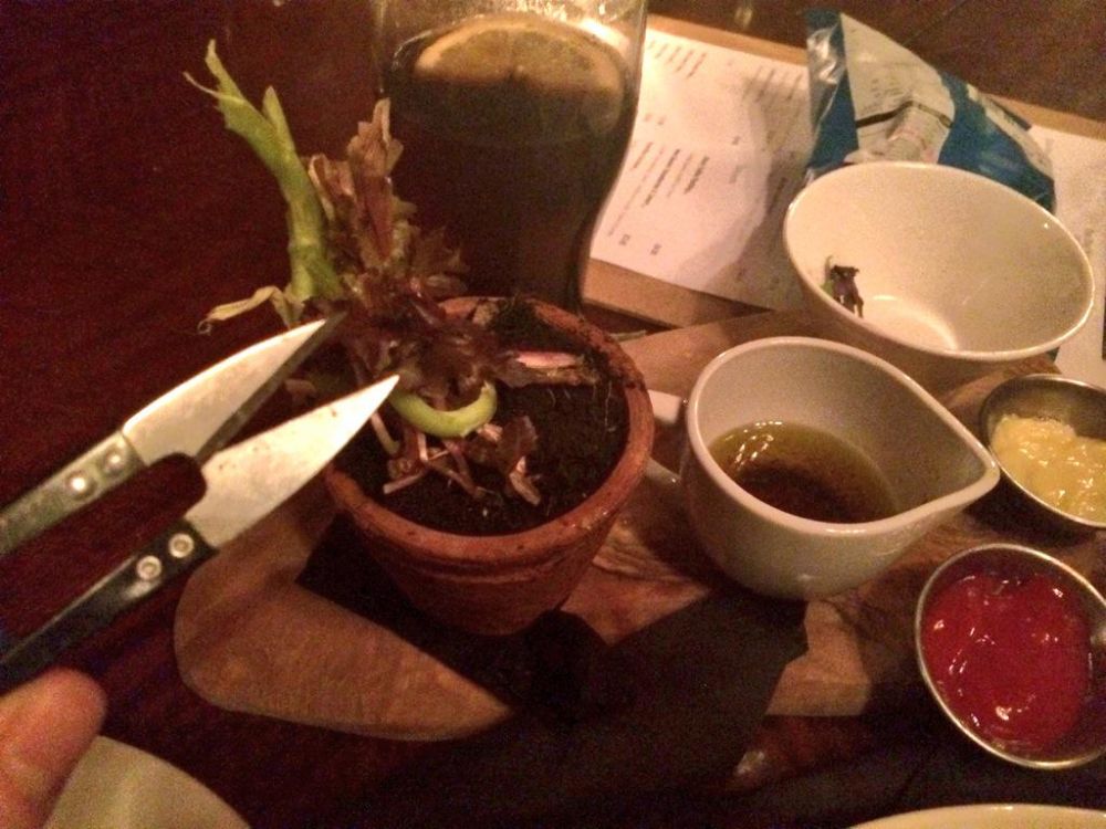 15 Potret penyajian makanan ini kelewat kreatif, bikin geleng kepala