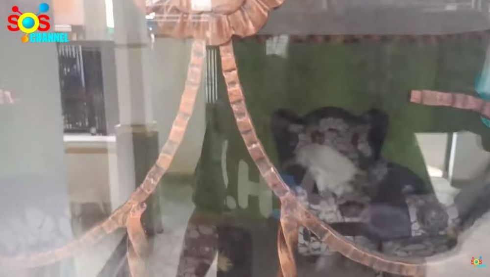 penampakan rumah pertama sule © YouTube