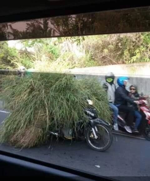 beda sendiri bikin salah fokus deh © berbagai sumber