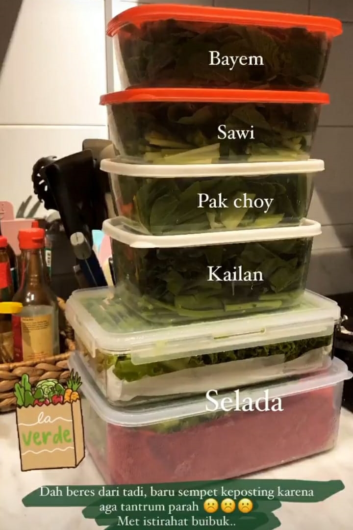 13 Cara Enno Lerian simpan bahan makanan buat seminggu, tinggal masak
