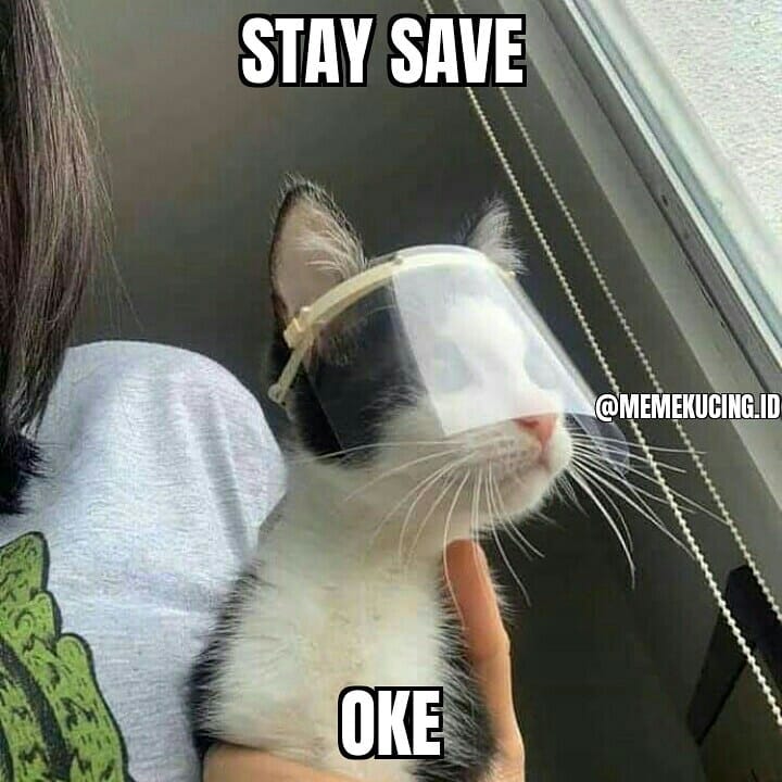 13 Meme tentang kucing ini bikin gemes dan pengen ketawa Berbagai sumber 13 Meme tentang kucing ini bikin gemes dan pengen ketawa Berbagai sumber