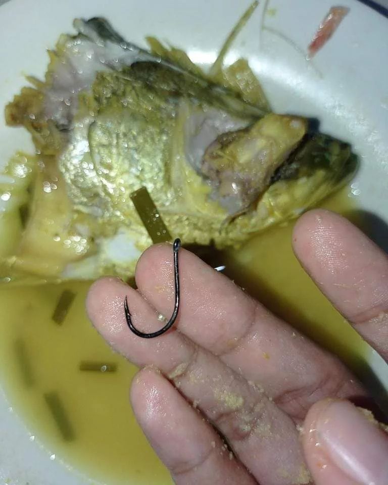 ada yang aneh di kotak makanan © berbagai sumber