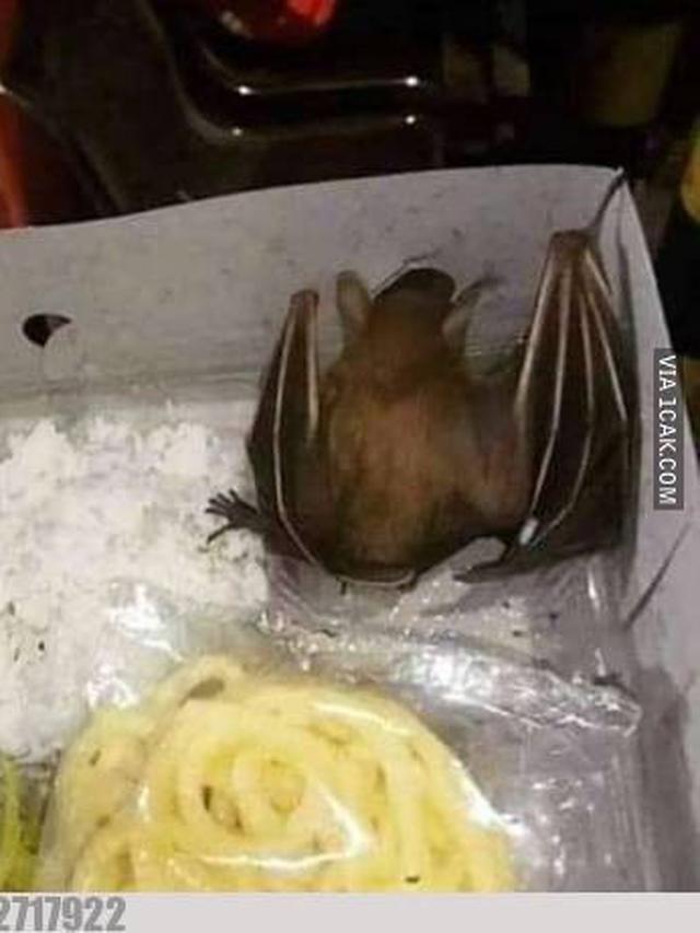 ada yang aneh di kotak makanan © berbagai sumber