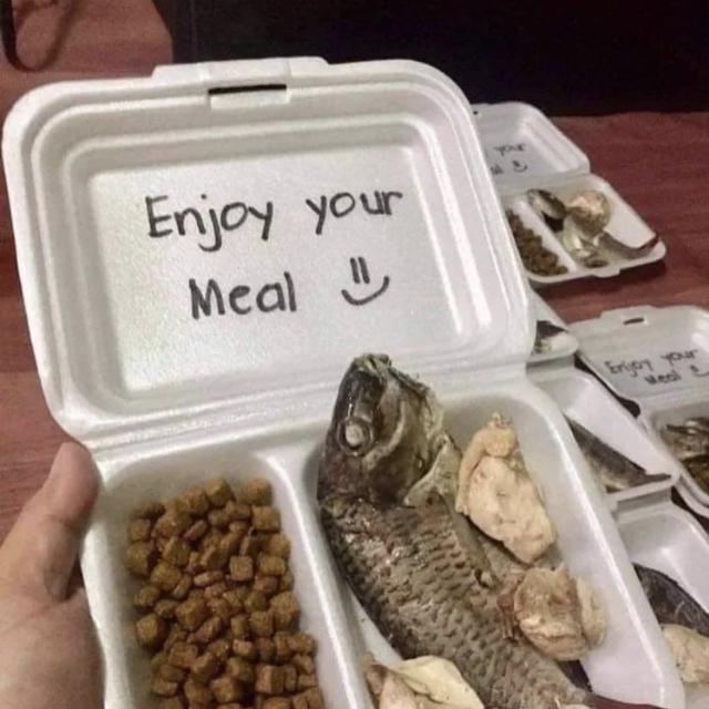 ada yang aneh di kotak makanan © berbagai sumber