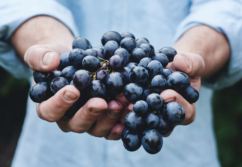 10 Camilan sehat ala Cinta Laura, rendah kalori dan aman buat diet