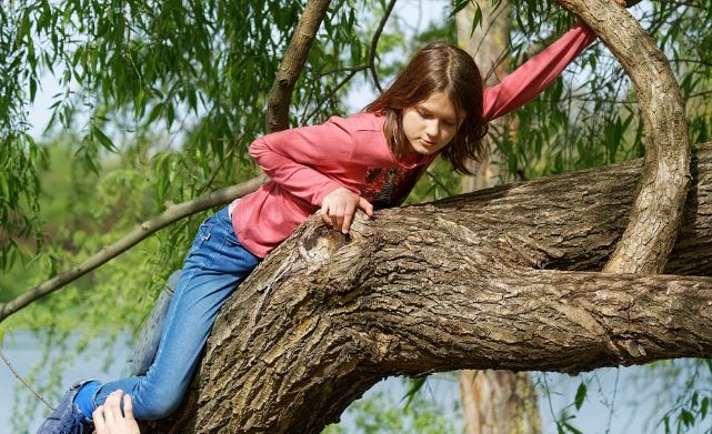 7 Arti mimpi memanjat pohon, jadi simbol perjalanan hidup