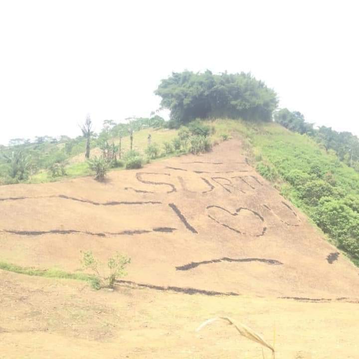 penampakan nyeleneh di sawah © berbagai sumber
