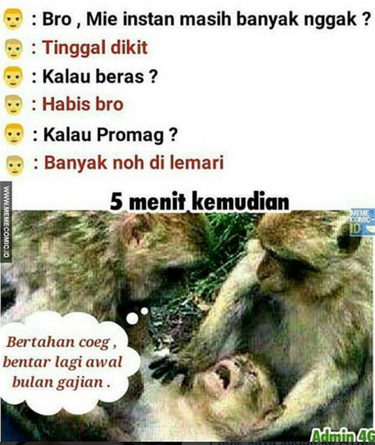 Meme kocak orang nunggu gajian Berbagai sumber Meme kocak orang nunggu gajian Berbagai sumber