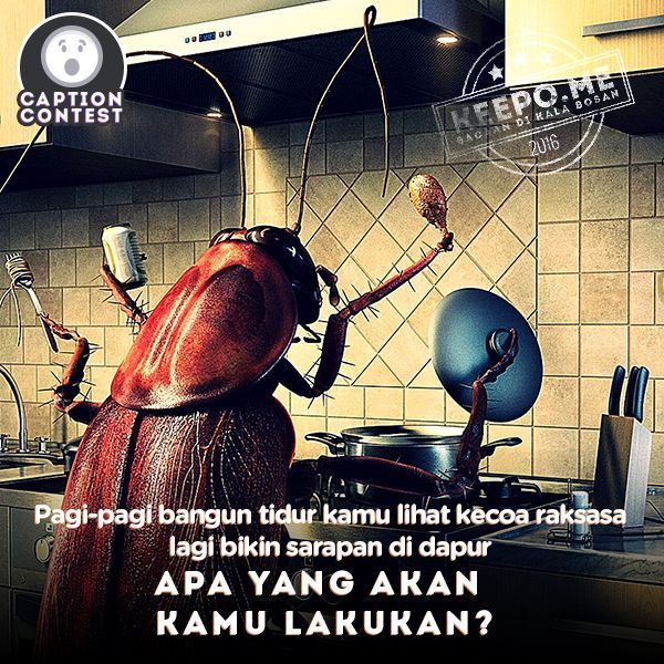 Meme kocak saat ketemu kecoak Berbagai sumber