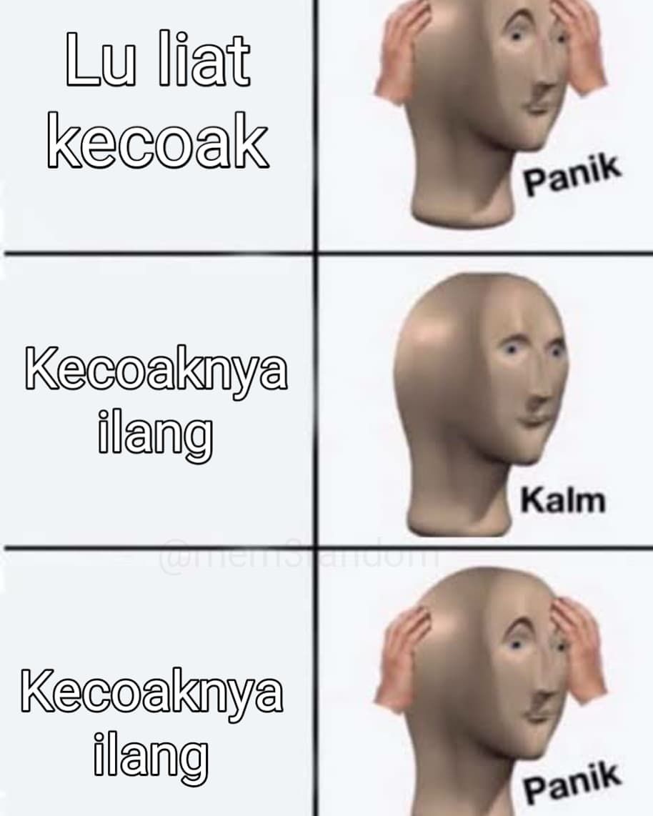 Meme kocak saat ketemu kecoak Berbagai sumber