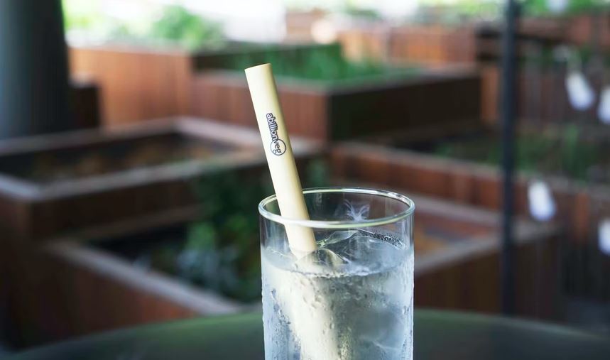 10 Pola makan Rossa, bantu jaga tubuh fit & kualitas suara saat konser