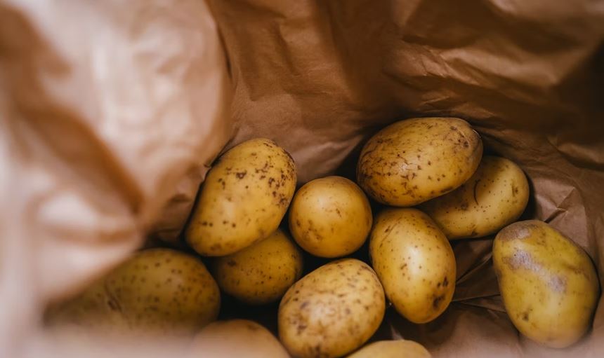 10 Pola makan Rossa, bantu jaga tubuh fit & kualitas suara saat konser