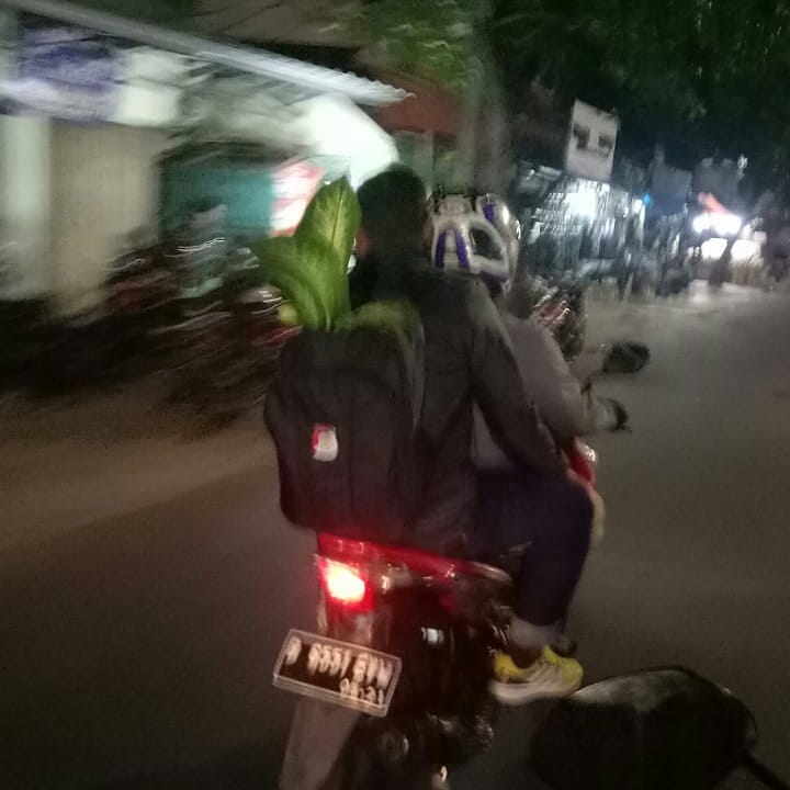 dibonceng motor bawa barang besar © berbagai sumber