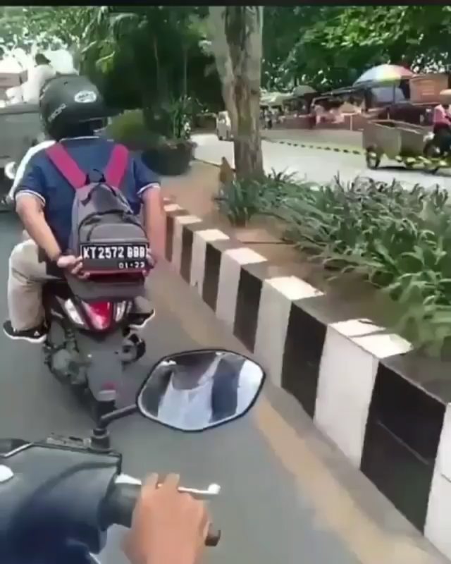 dibonceng motor bawa barang besar © berbagai sumber