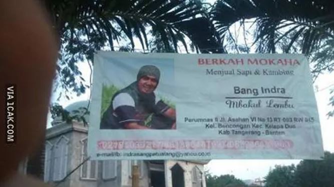 spanduk kampanye nyeleneh © berbagai sumber spanduk kampanye nyeleneh © berbagai sumber