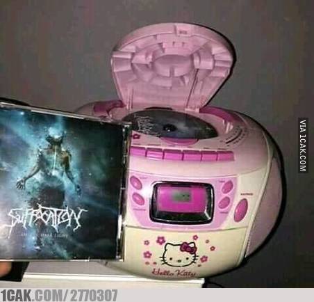 Hello kitty fans totalitas © berbagai sumber