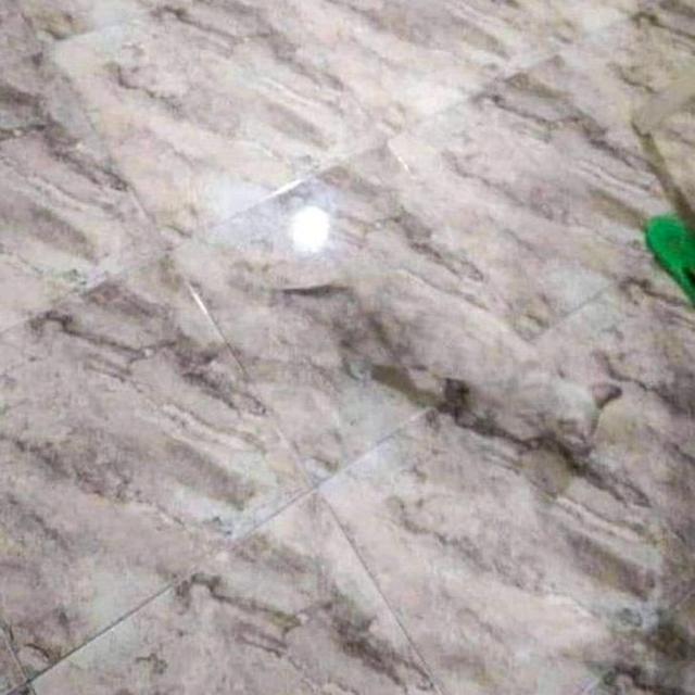 Potret hewan jago berkamuflase brightside.me