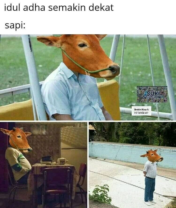 Meme kocak perilaku hewan kurban Berbagai sumber