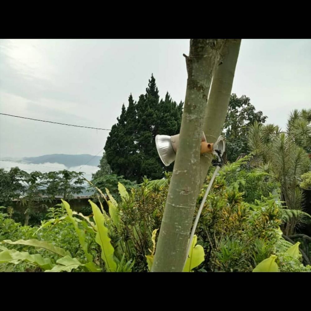 bikin lampu taman kreatif pol © berbagai sumber