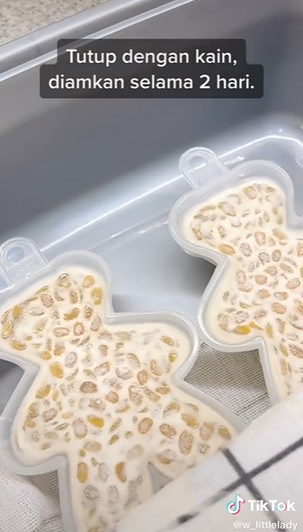 9 Cara mudah membuat tempe sendiri di rumah, hanya pakai 3 bahan