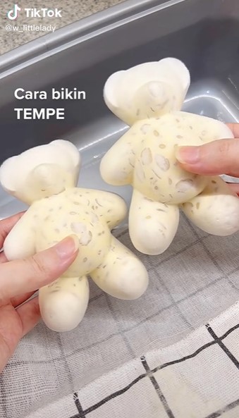 9 Cara mudah membuat tempe sendiri di rumah, hanya pakai 3 bahan