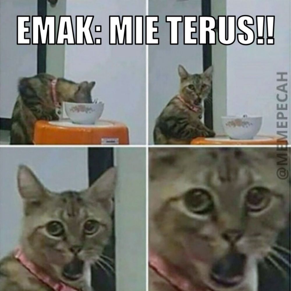 Kelakuan emak-emak saat di rumah Berbagai sumber