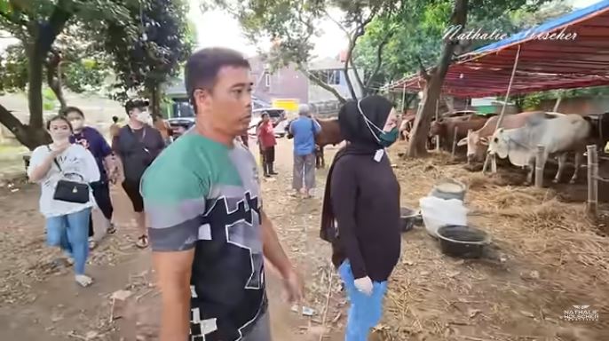 11 Momen Nathalie Holscher beli sapi © 2022 You Tube 