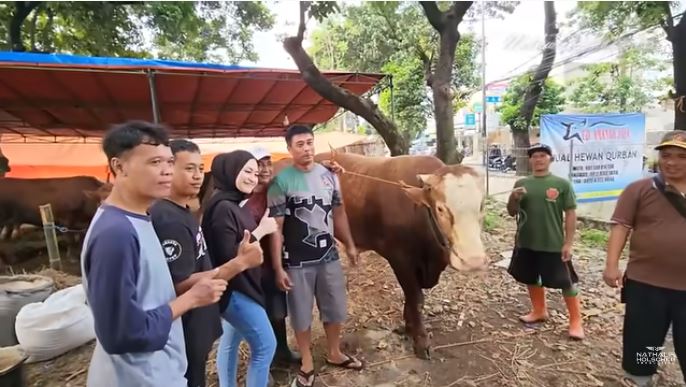 11 Momen Nathalie Holscher beli sapi © 2022 You Tube 