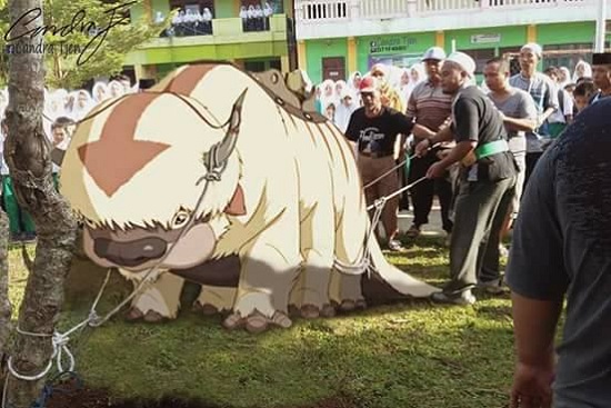 Editan foto hewan kurban Berbagai sumber Editan foto hewan kurban Berbagai sumber
