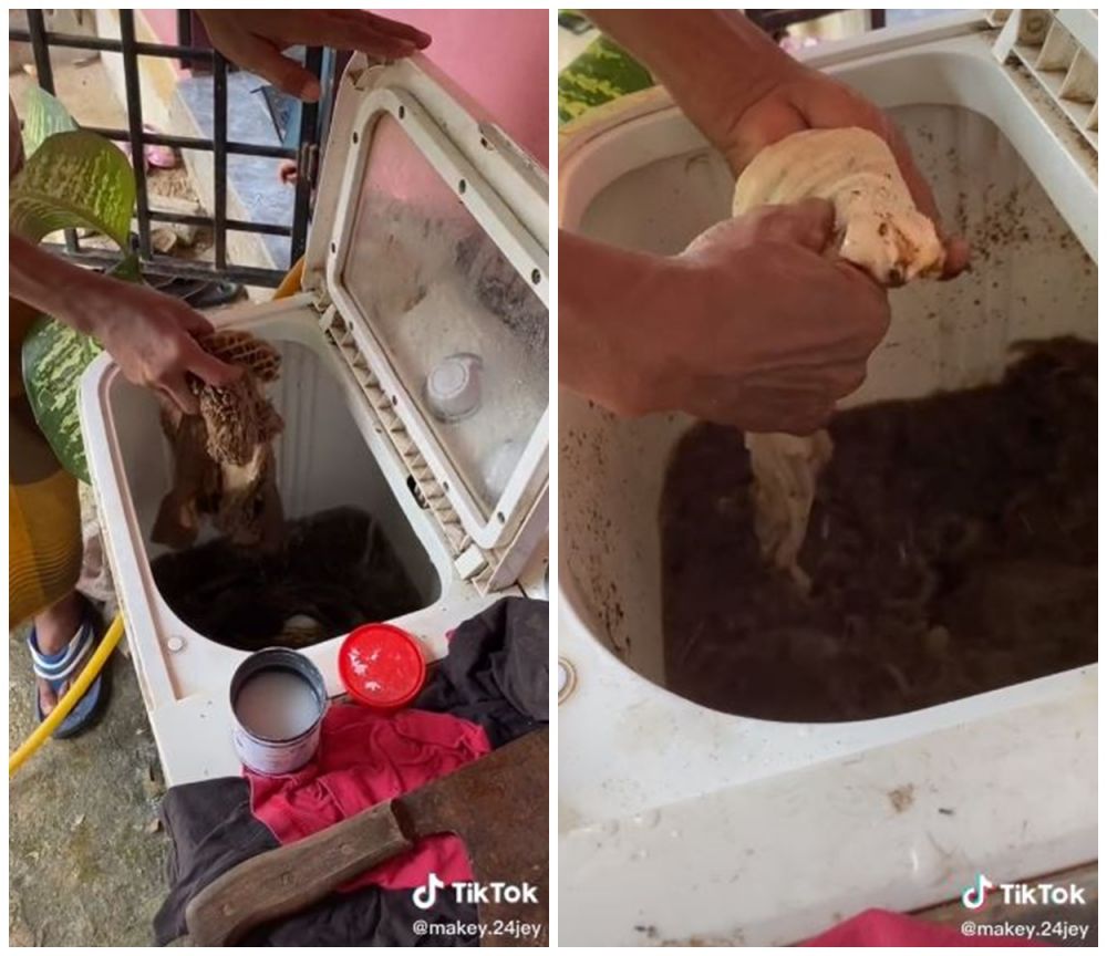 Aksi nyeleneh pria bersihkan jeroan hewan kurban pakai mesin cuci
