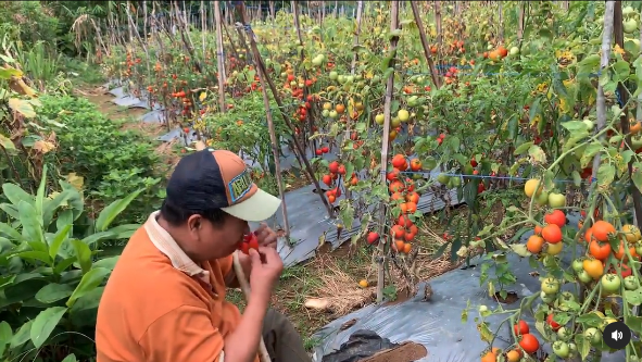 Aktivitas terbaru mantan Kabareskrim Susno Duadji Instagram