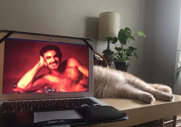 momen pas kucing dan manusia © berbagai sumber momen pas kucing dan manusia © berbagai sumber