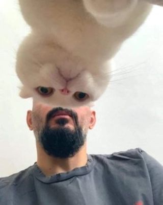 momen pas kucing dan manusia © berbagai sumber momen pas kucing dan manusia © berbagai sumber