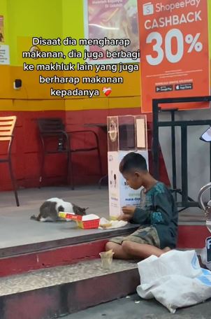 Bocah pemulung ini berbagi makanan dengan kucing liar TikTok Bocah pemulung ini berbagi makanan dengan kucing liar TikTok