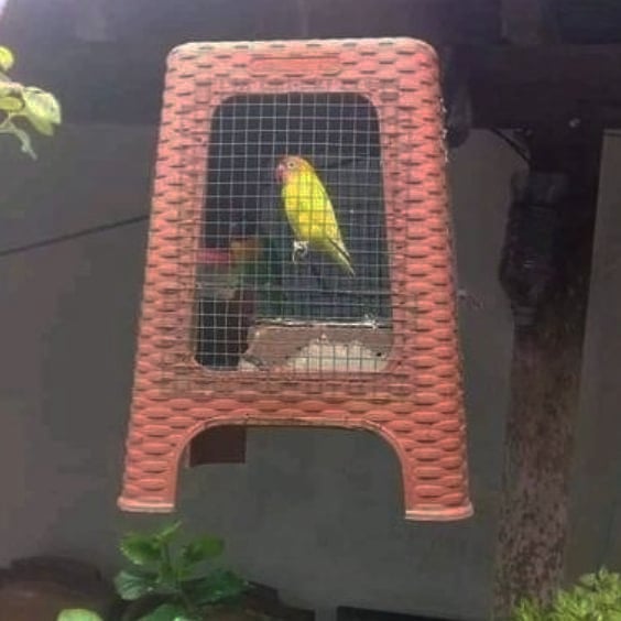 memanfaatkan kursi plastik kreatif banget © berbagai sumber memanfaatkan kursi plastik kreatif banget © berbagai sumber