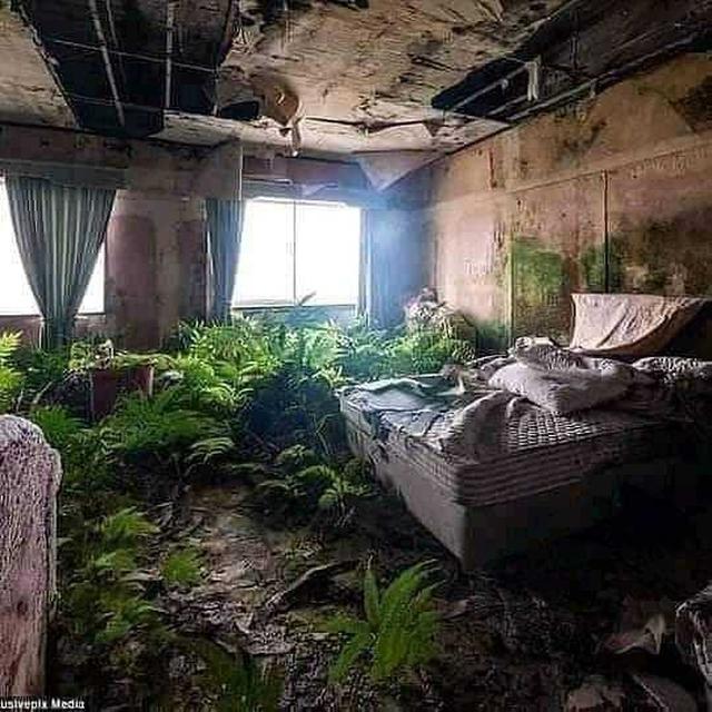 dinding kamar antimainstream © berbagai sumber