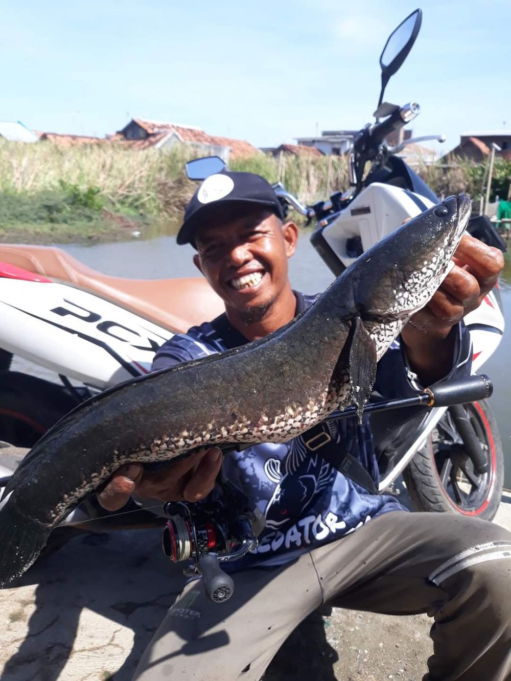 Kisah pasutri bagikan Ikan Gratis ke warga Twitter Kisah pasutri bagikan Ikan Gratis ke warga Twitter