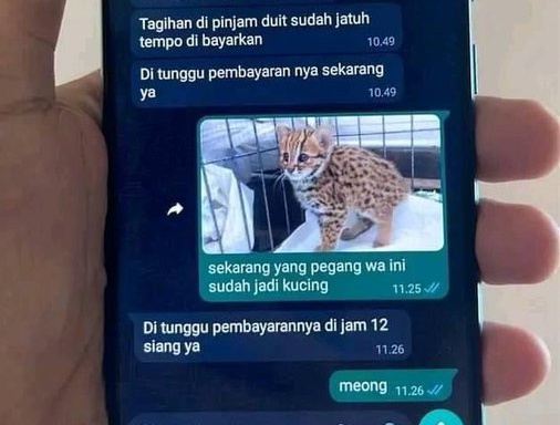 ditagih utang malah nyeleneh © berbagai sumber