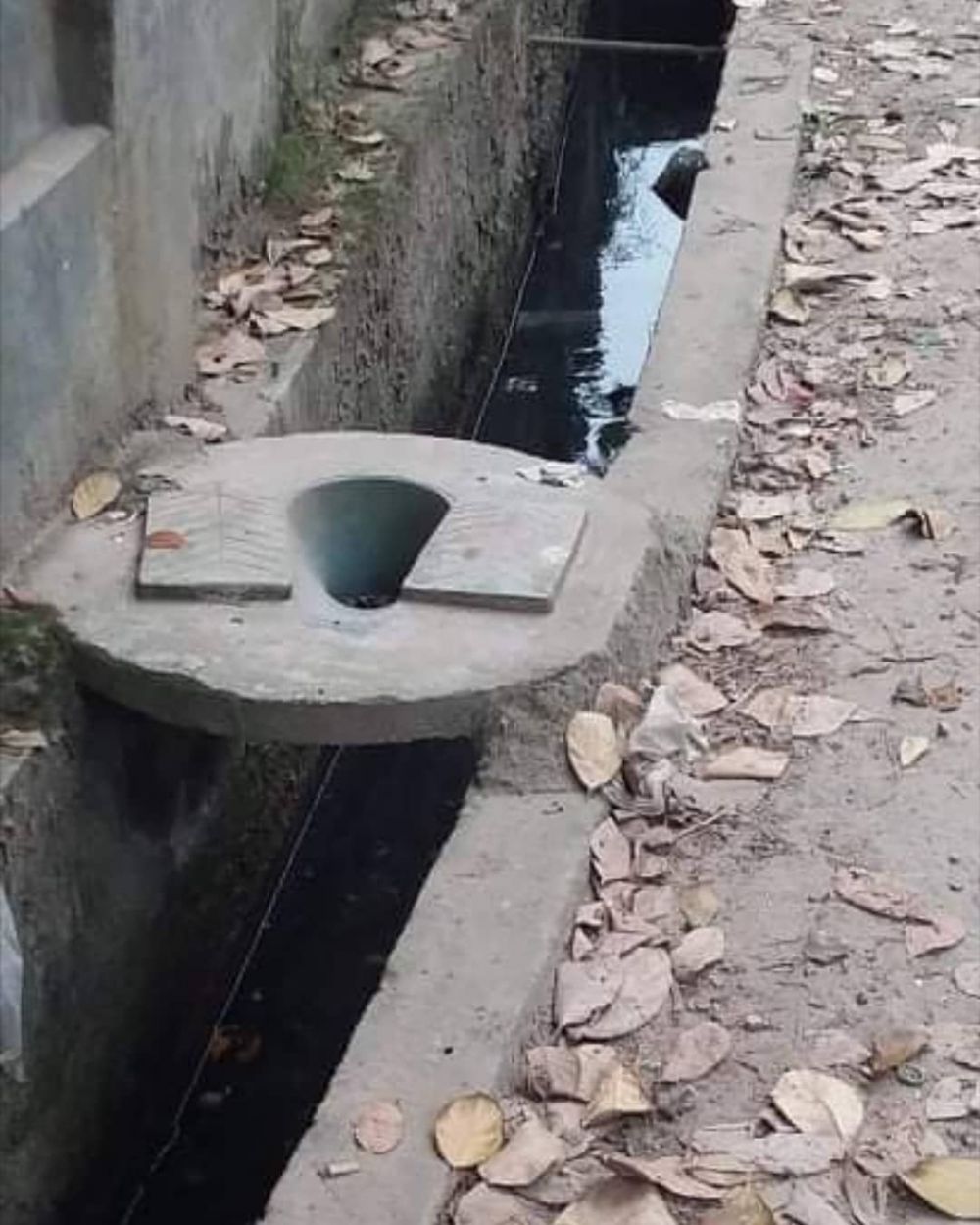 kloset tapi bentuknya nyeleneh © berbagai sumber