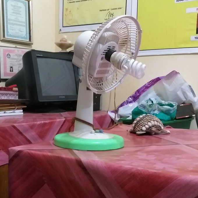 manfaatkan kipas angin nyeleneh © berbagai sumber