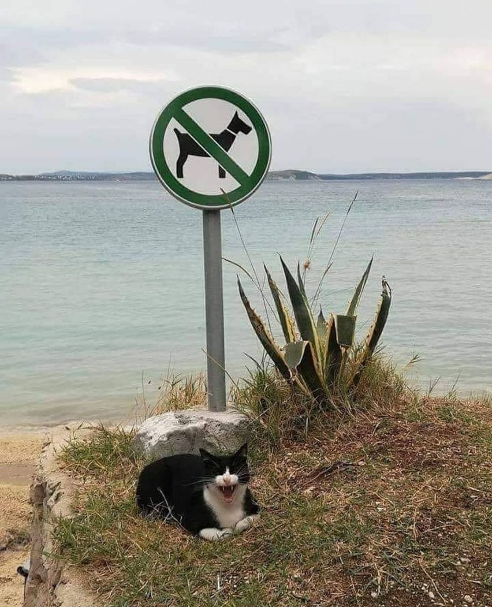 spanduk sama momennya pas banget © berbagai sumber