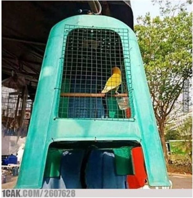 bikin kandang burung kreatif © berbagai sumber